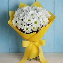 Букет цветов из:  Хризантемы в Водоразделе
