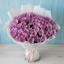 Букет цветов из:  Хризантемы #REPLACE_PRED# Водоразделе