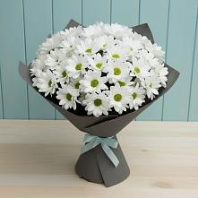 Букет цветов из:  Хризантемы #REPLACE_PRED# Водоразделе